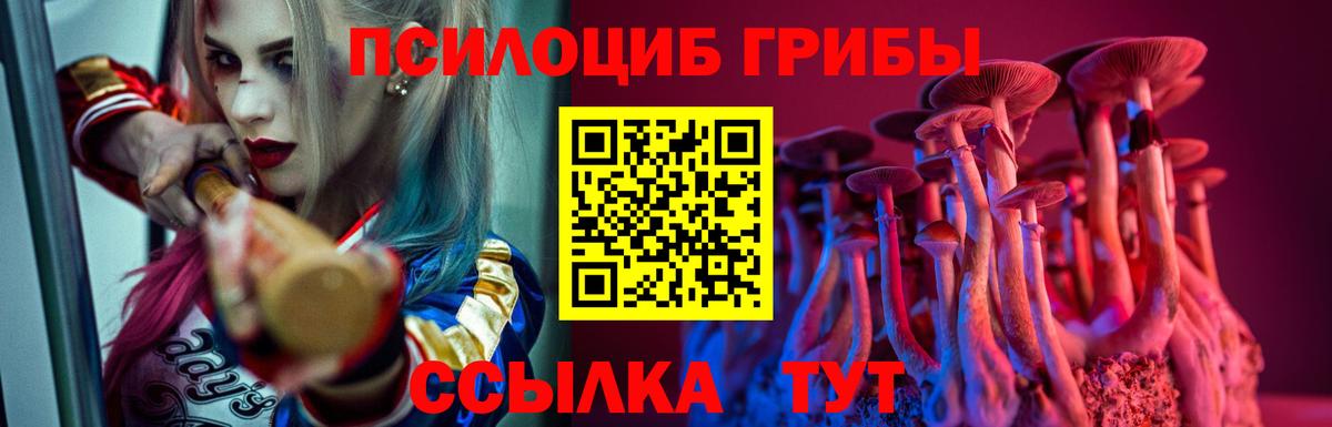 Галлюциногенные грибы GOLDEN TEACHER  Вход с VPN  Орск 